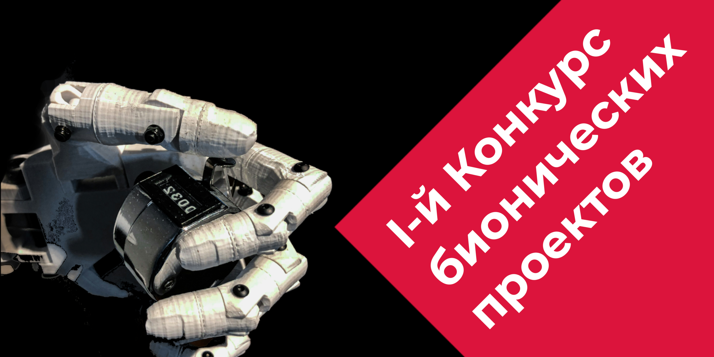 Итоги I конкурса бионических проектов